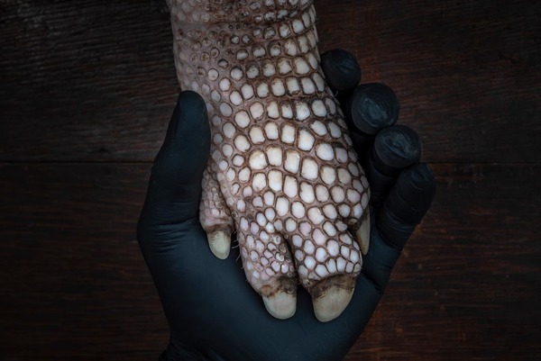 Caring for the Unseen Giants